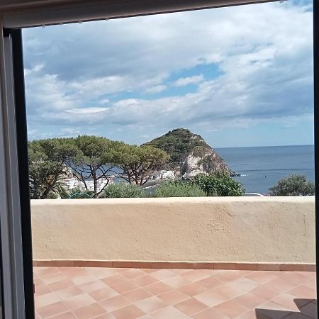 Parco Termale Tropical Bed and Breakfast Ischia Island Buitenkant foto