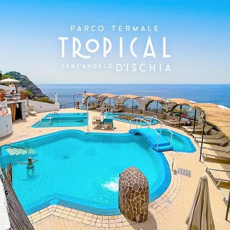 Parco Termale Tropical Bed and Breakfast Ischia Island Buitenkant foto