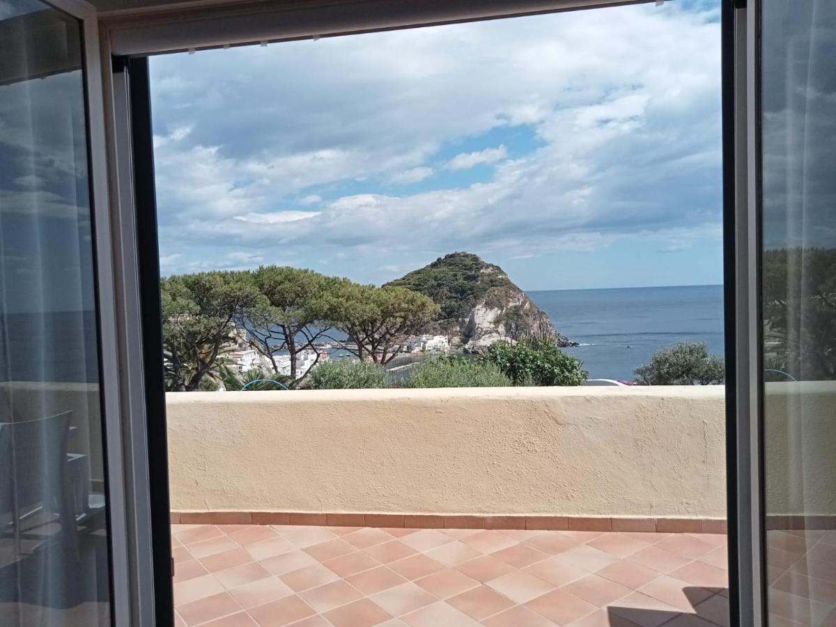 Parco Termale Tropical Bed and Breakfast Ischia Island Buitenkant foto